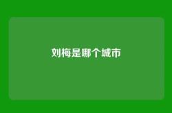 刘梅是哪个城市