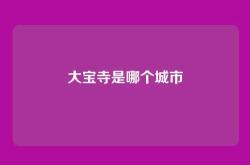 大宝寺是哪个城市