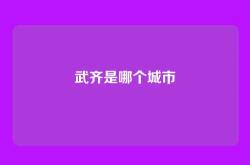 武齐是哪个城市