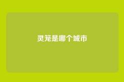 灵笼是哪个城市