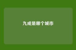 九成是哪个城市