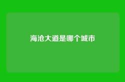 海沧大道是哪个城市