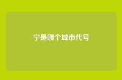 宁是哪个城市代号