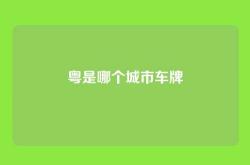 粤是哪个城市车牌