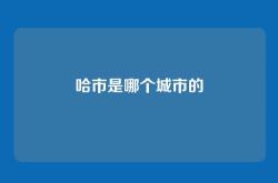 哈市是哪个城市的