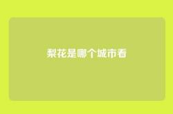 梨花是哪个城市看