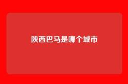 陕西巴马是哪个城市