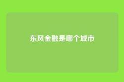 东风金融是哪个城市
