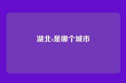 湖北s是哪个城市