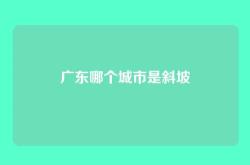 广东哪个城市是斜坡