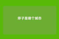 停子是哪个城市