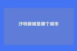 沙特新城是哪个城市