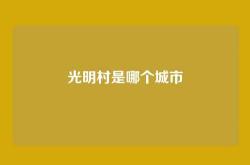光明村是哪个城市