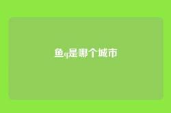 鱼q是哪个城市