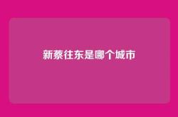 新蔡往东是哪个城市