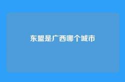 东盟是广西哪个城市