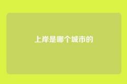 上岸是哪个城市的