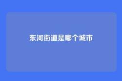 东河街道是哪个城市