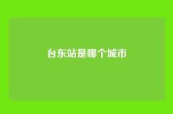 台东站是哪个城市