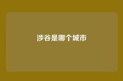 涉谷是哪个城市