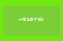 usb是在哪个城市