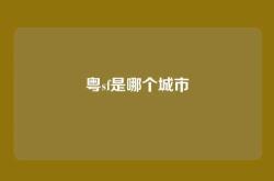 粤sf是哪个城市