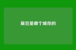 麻豆是哪个城市的