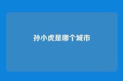 孙小虎是哪个城市