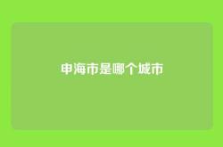 申海市是哪个城市