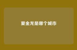 夏金龙是哪个城市