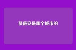 薇薇安是哪个城市的