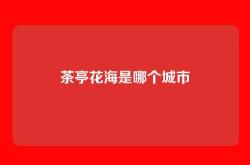 茶亭花海是哪个城市