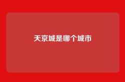 天京城是哪个城市