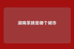 湖南茶陵是哪个城市