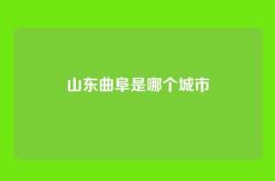 山东曲阜是哪个城市