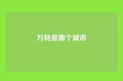 万特是哪个城市