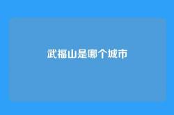 武福山是哪个城市