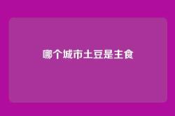 哪个城市土豆是主食