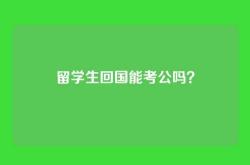 留学生回国能考公吗？