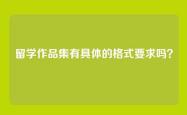 留学作品集有具体的格式要求吗？