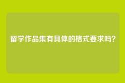 留学作品集有具体的格式要求吗？