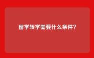 留学转学需要什么条件？