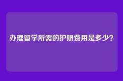 办理留学所需的护照费用是多少？