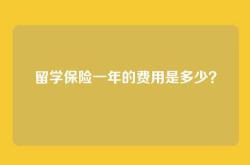 留学保险一年的费用是多少？