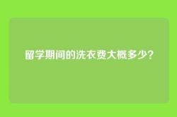 留学期间的洗衣费大概多少？