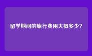 留学期间的旅行费用大概多少？
