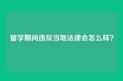 留学期间违反当地法律会怎么样？