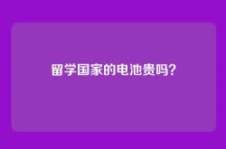 留学国家的电池贵吗？