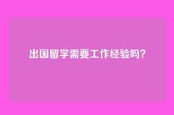 出国留学需要工作经验吗？