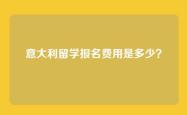 意大利留学报名费用是多少？